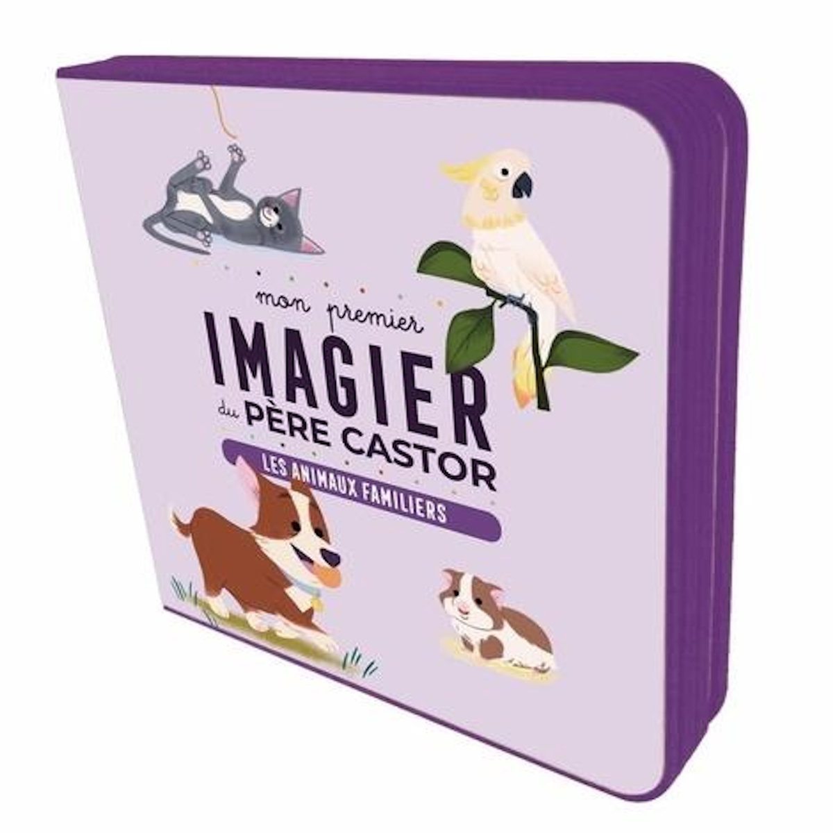 LES ANIMAUX FAMILIERS, Jacob Emilie