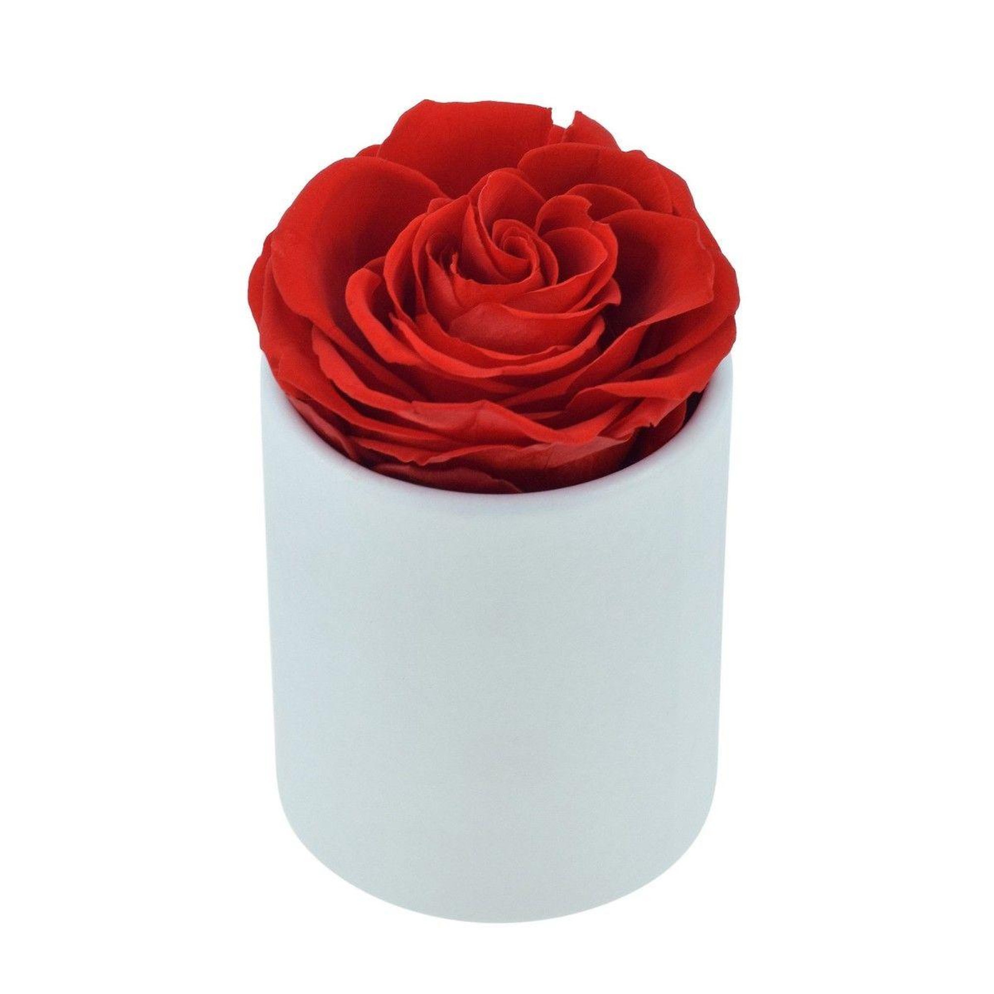 SC CRYSTAL Coffret rose éternelle - stabilisée