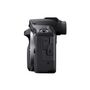 Voir la diapositive 4 : Canon Appareil photo Hybride EOS R100 + RF-S 18-45mm IS STM