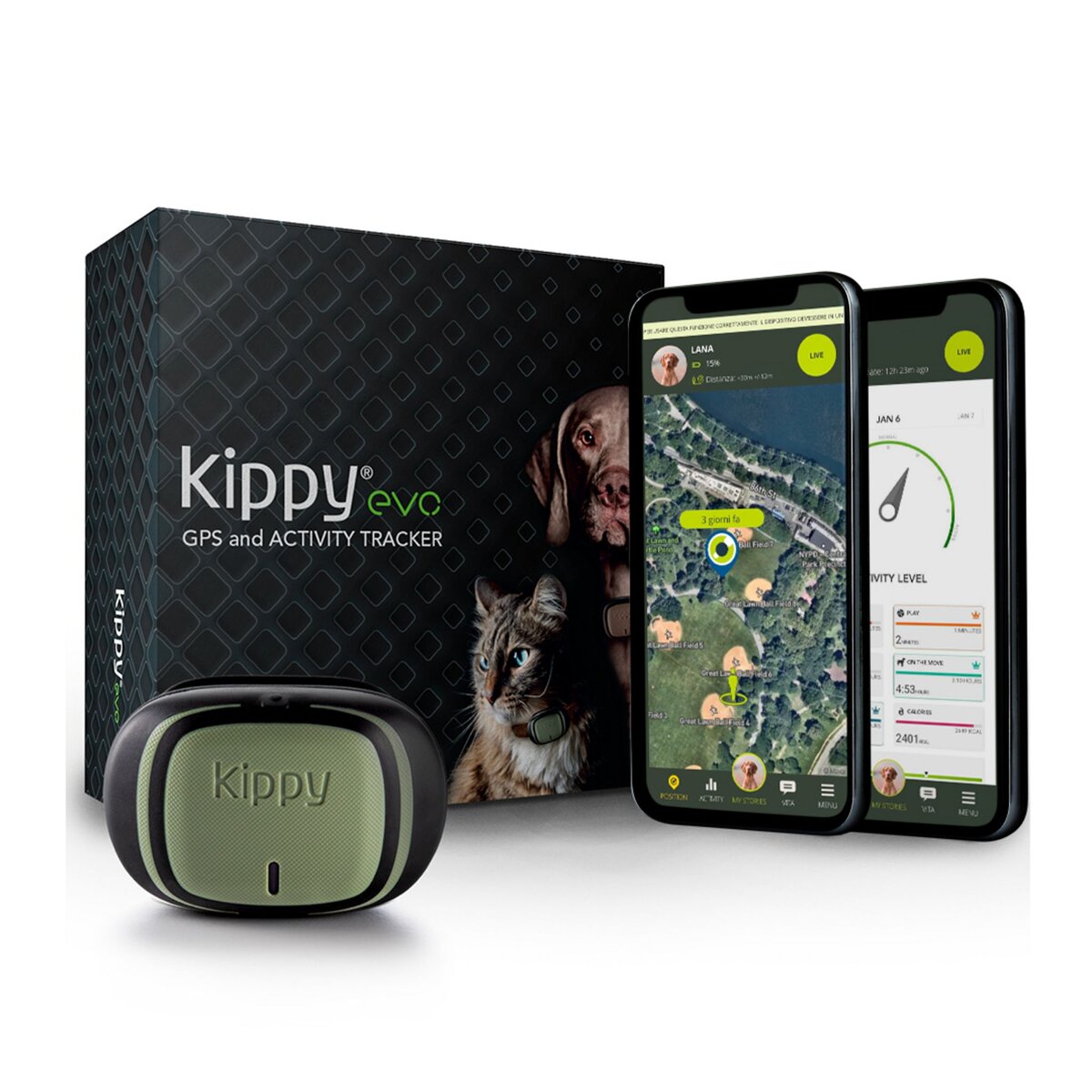 Le collier GPS Kippy spécial chats est dispo en France