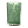 Voir la diapositive 1 : Paris Prix Photophore Design en Verre  Flora  18cm Vert
