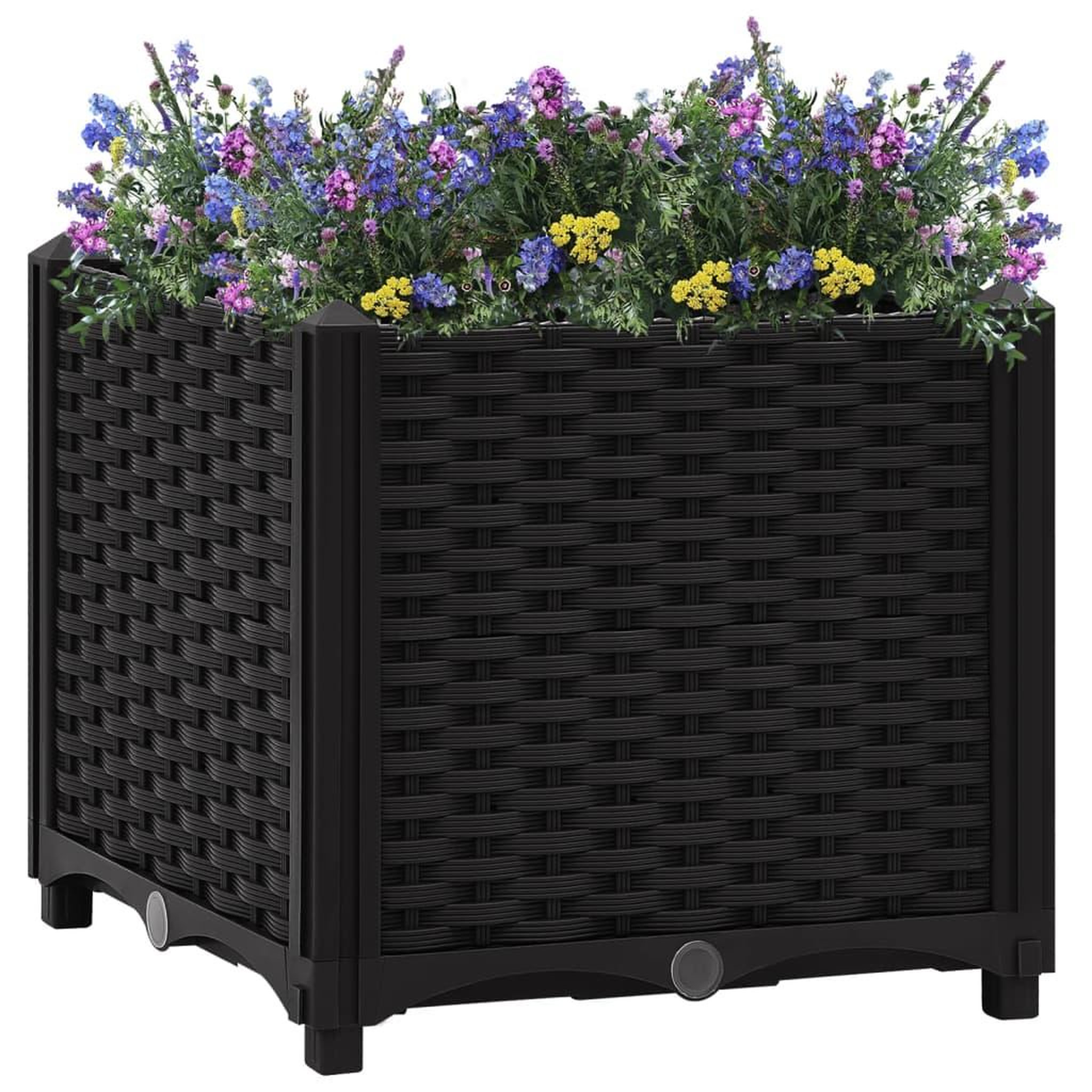 Voir la diapositive 1 : VIDAXL Lit sureleve 40x40x38 cm Polypropylene