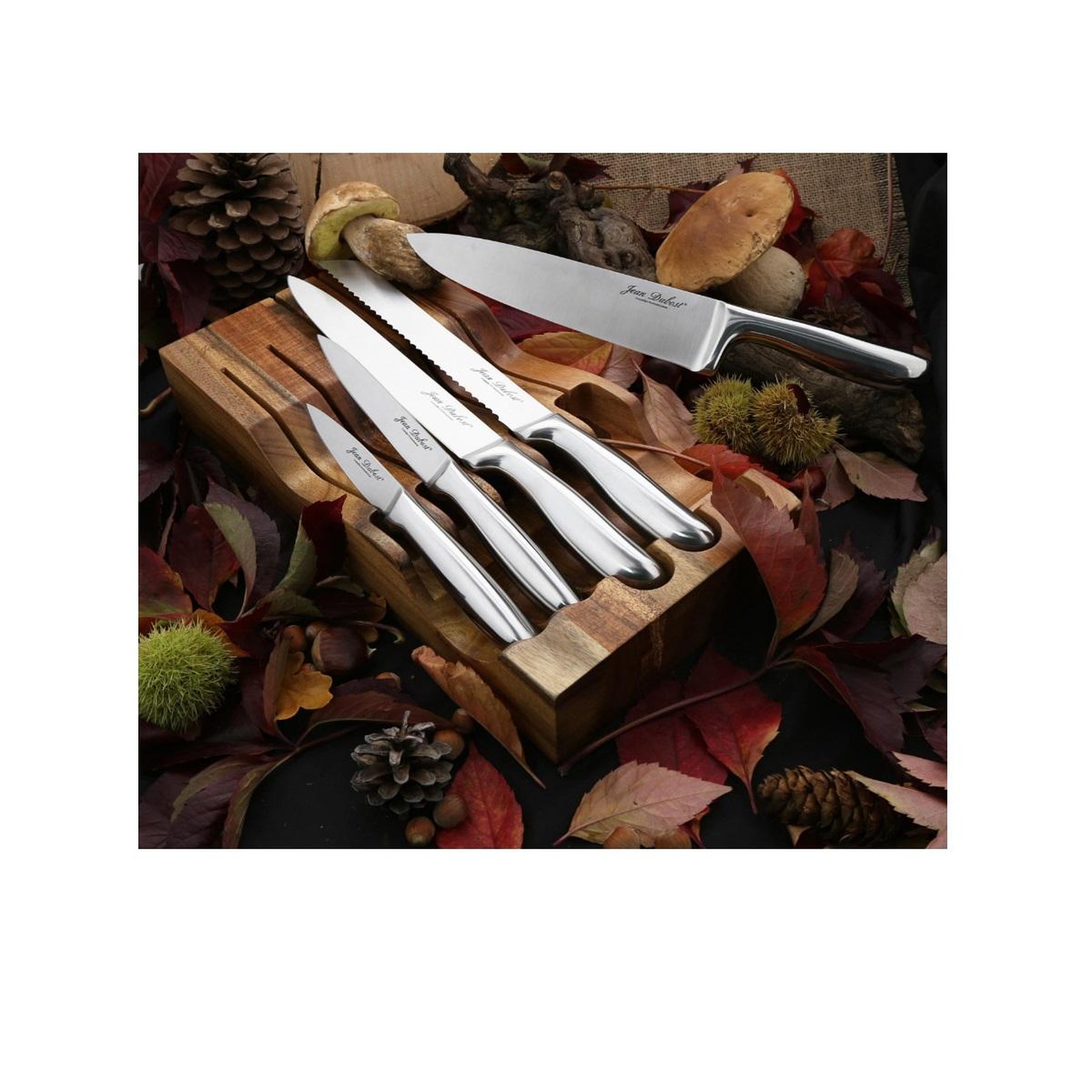 Voir la diapositive 2 : Jean dubost Bloc de 5 couteaux inox - BS288520X00232
