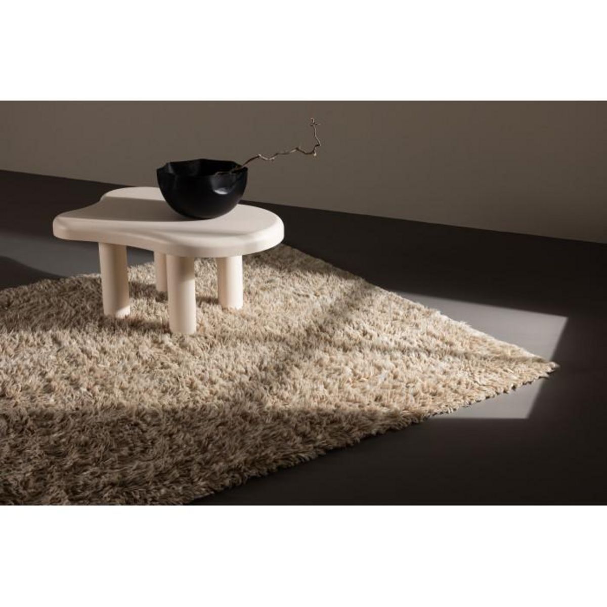 Paris Prix Tapis Rectangulaire en Laine  Leiko  160x230cm Beige