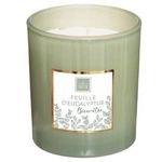 COMPTOIR DE LA BOUGIE Bougie Parfumée  Mael  190g Feuille d'Eucalyptus