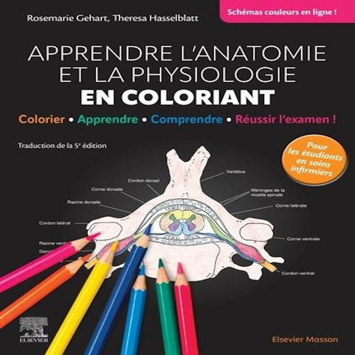 APPRENDRE L'ANATOMIE ET LA PHYSIOLOGIE EN COLORIANT. COLORIER, APPRENDRE, COMPRENDRE, REUSSIR L'EXAMEN ! 2E EDITION, Gehart Rosemarie