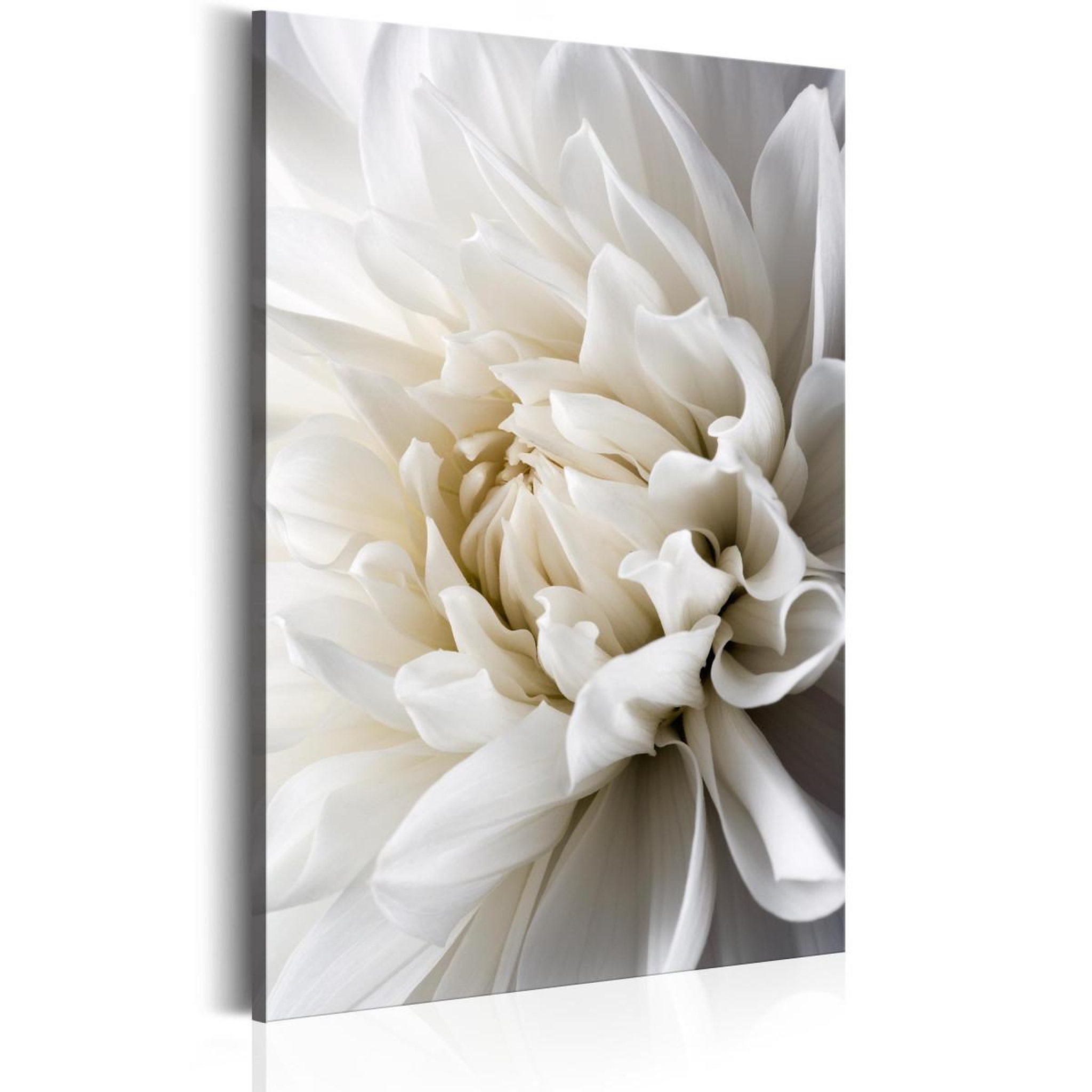 Voir la diapositive 1 : Paris Prix Tableau Imprimé  White Dahlia