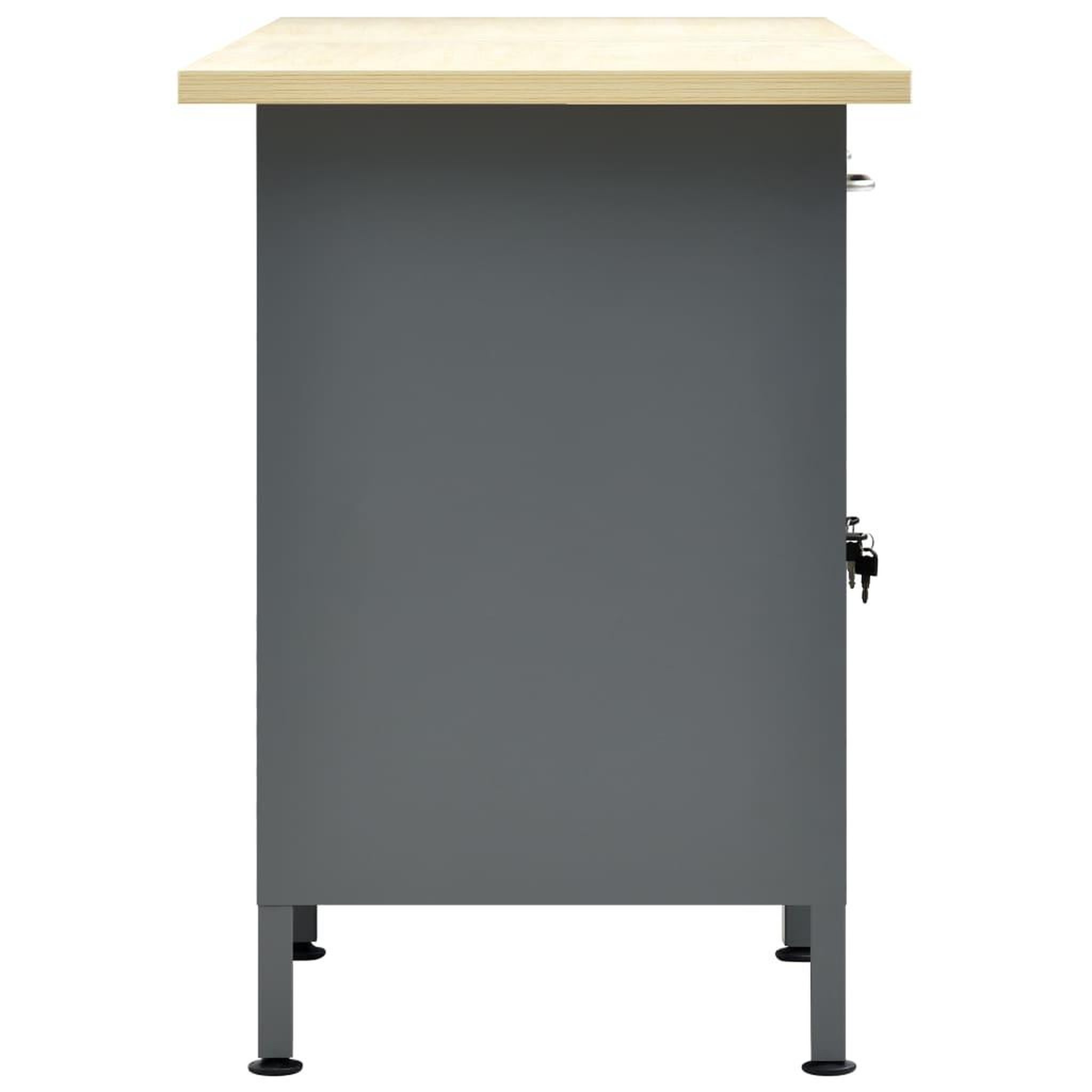 Voir la diapositive 4 : VIDAXL Etabli Noir 160x60x85 cm Acier