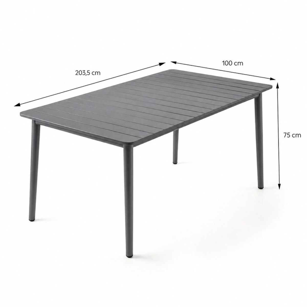 CONCEPT USINE Ensemble table de jardin 200 cm et 8 fauteuils gris foncé effet rotin CANBERRA
