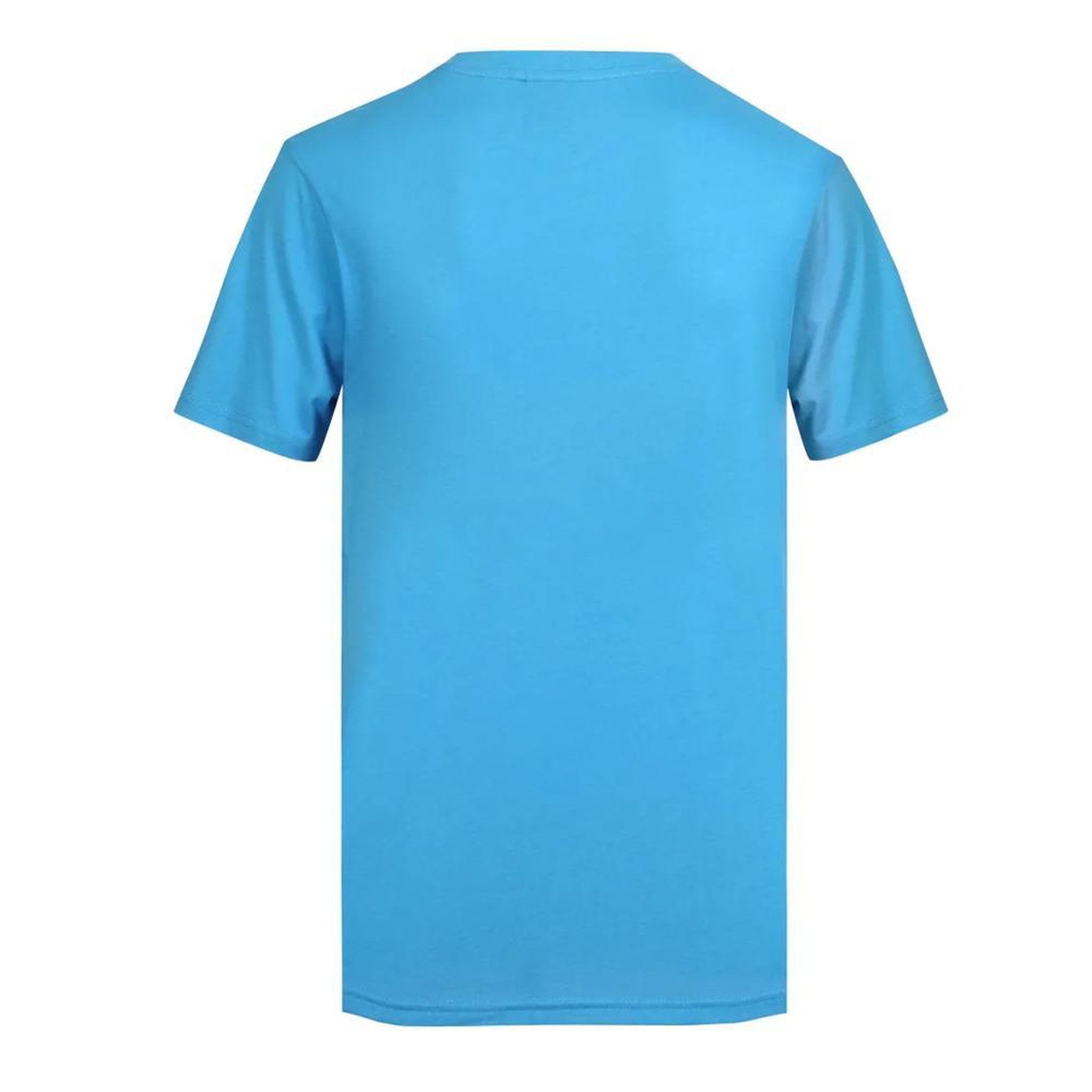 Voir la diapositive 2 : GOTCHA T shirt  Homme Gotcha Fishman