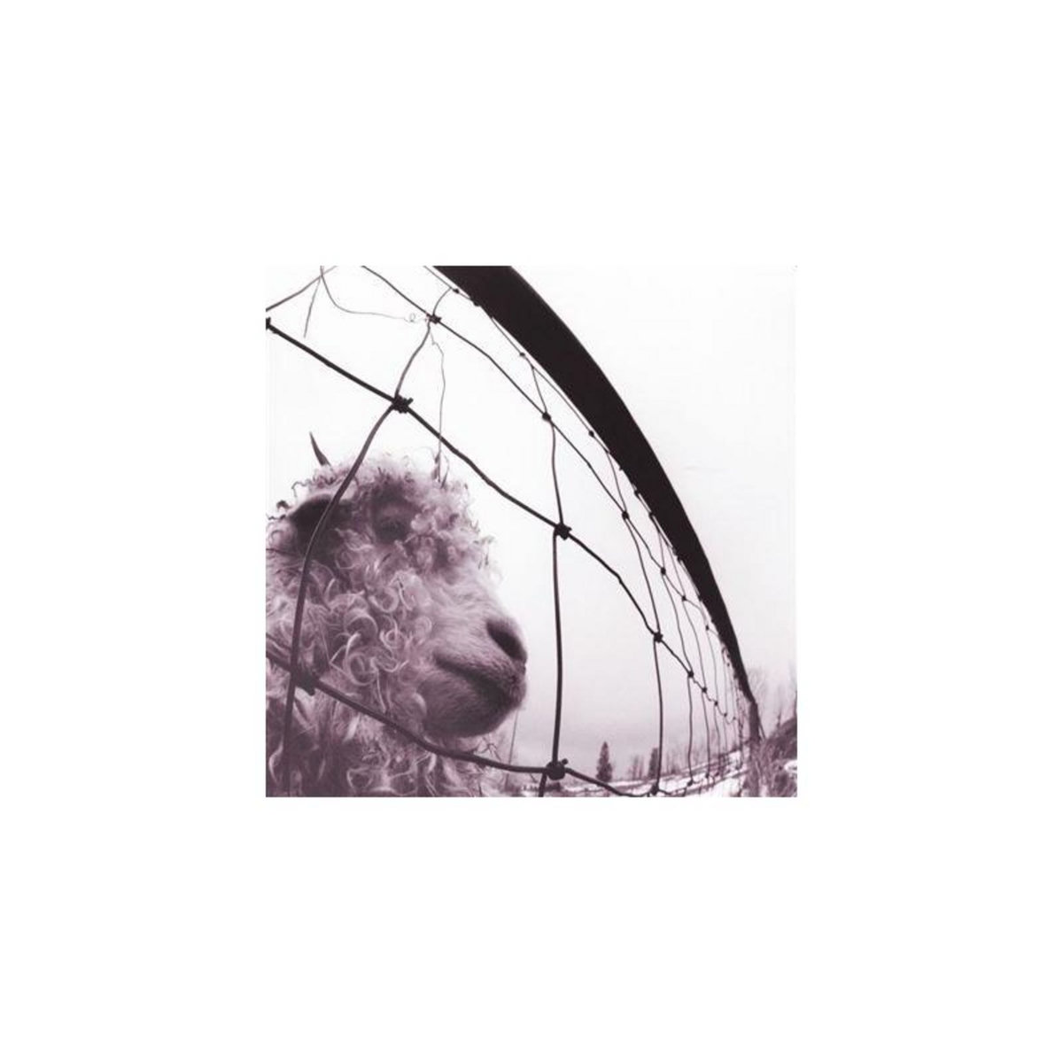 Vs. 30th Anniversary