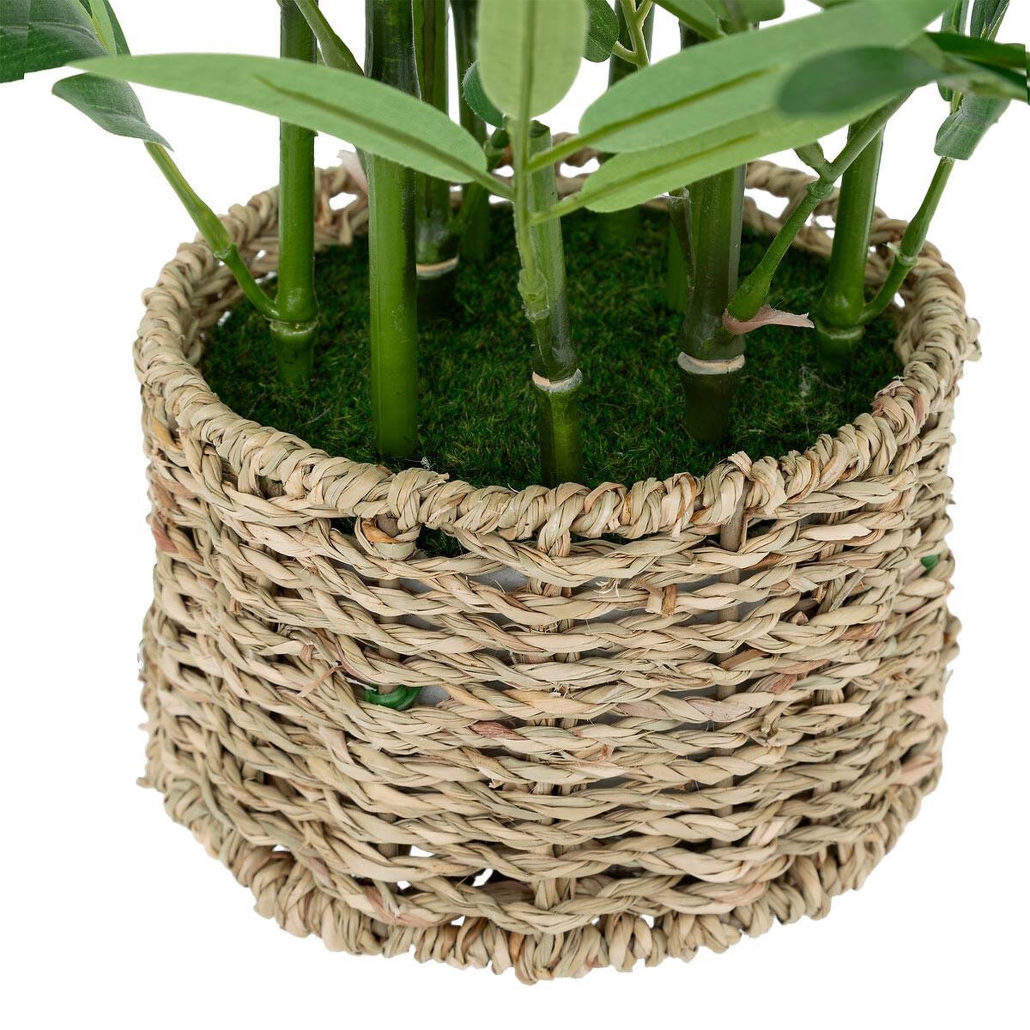 Voir la diapositive 2 : ATMOSPHERA Bambou artificiel en pot  ly  46cm naturel