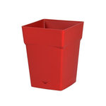 Eda Pot Polypropylène 13642 R.Ru L.24.8 X L.24.8 X H.24 Cm Rouge Rubis