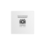 Crucial 10000GB Crucial© MX500 SATA 2.5 CT1000MX500SSD1