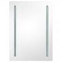 Voir la diapositive 4 : VIDAXL Armoire de salle de bain a miroir LED gris 50x13x70 cm