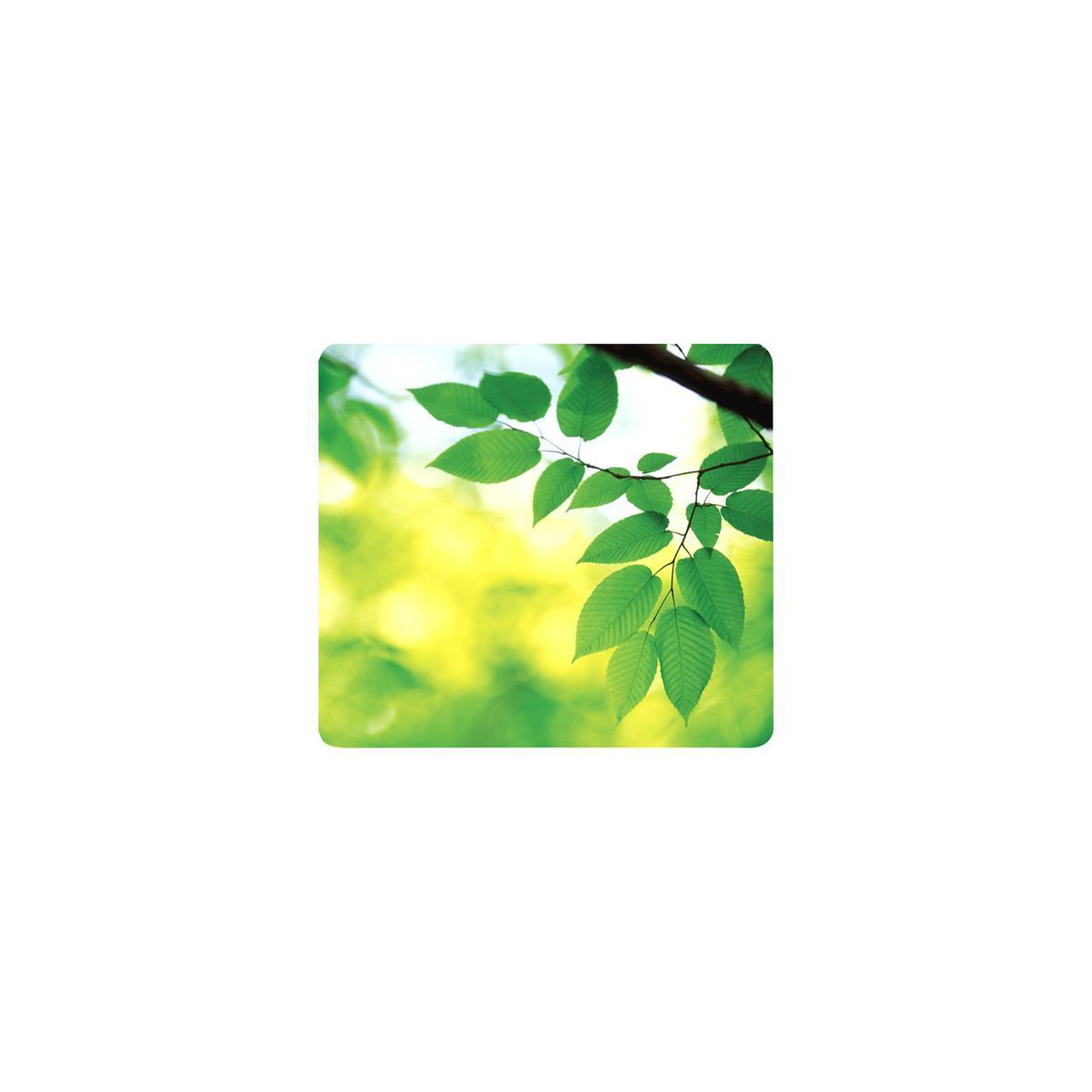 Fellowes Fellowes 5903801 tapis de souris Vert