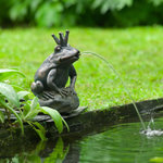 Ubbink Ubbink Fontaine de jardin a cracheur Grenouille roi