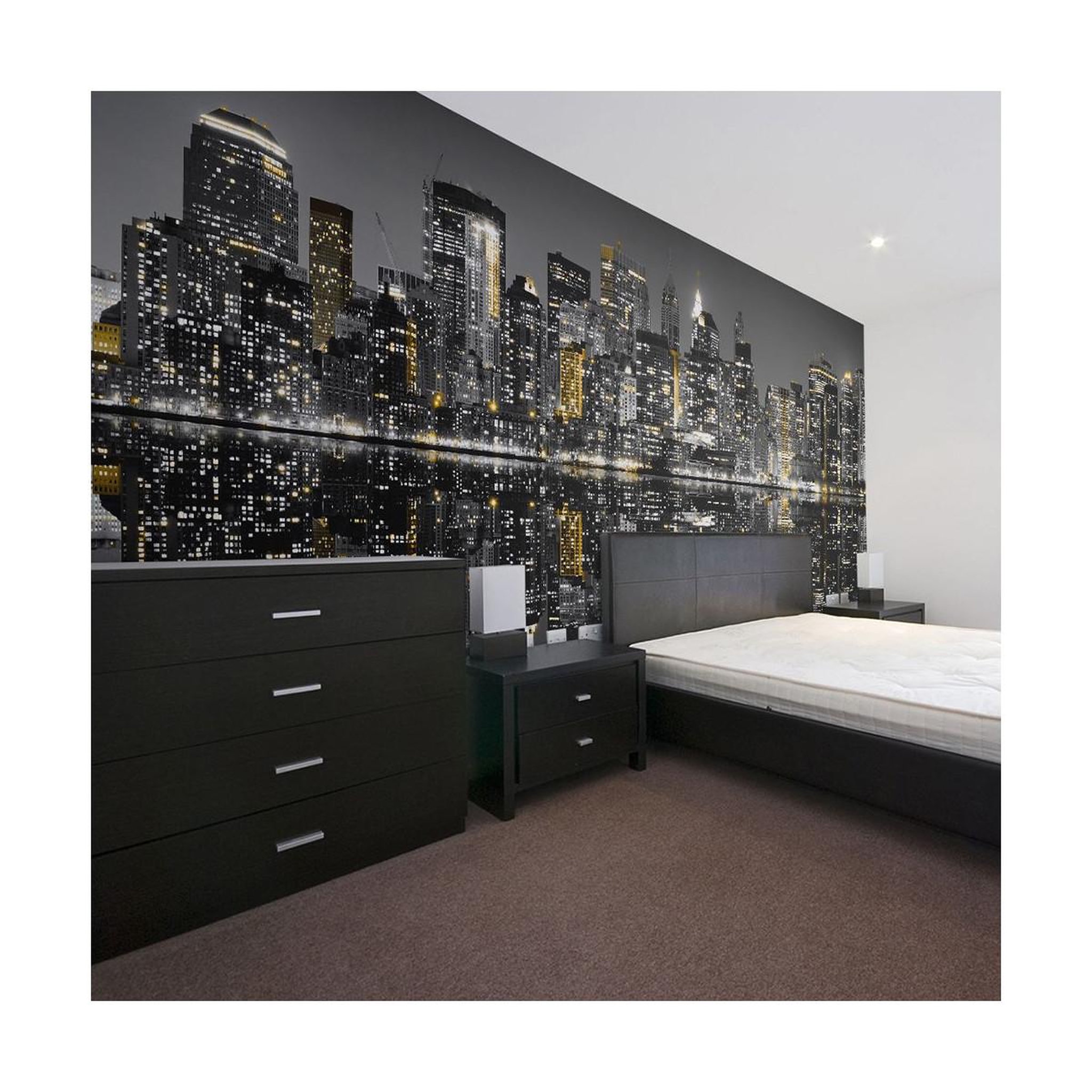 Paris Prix Papier peint xxl  american wealth  270x550cm