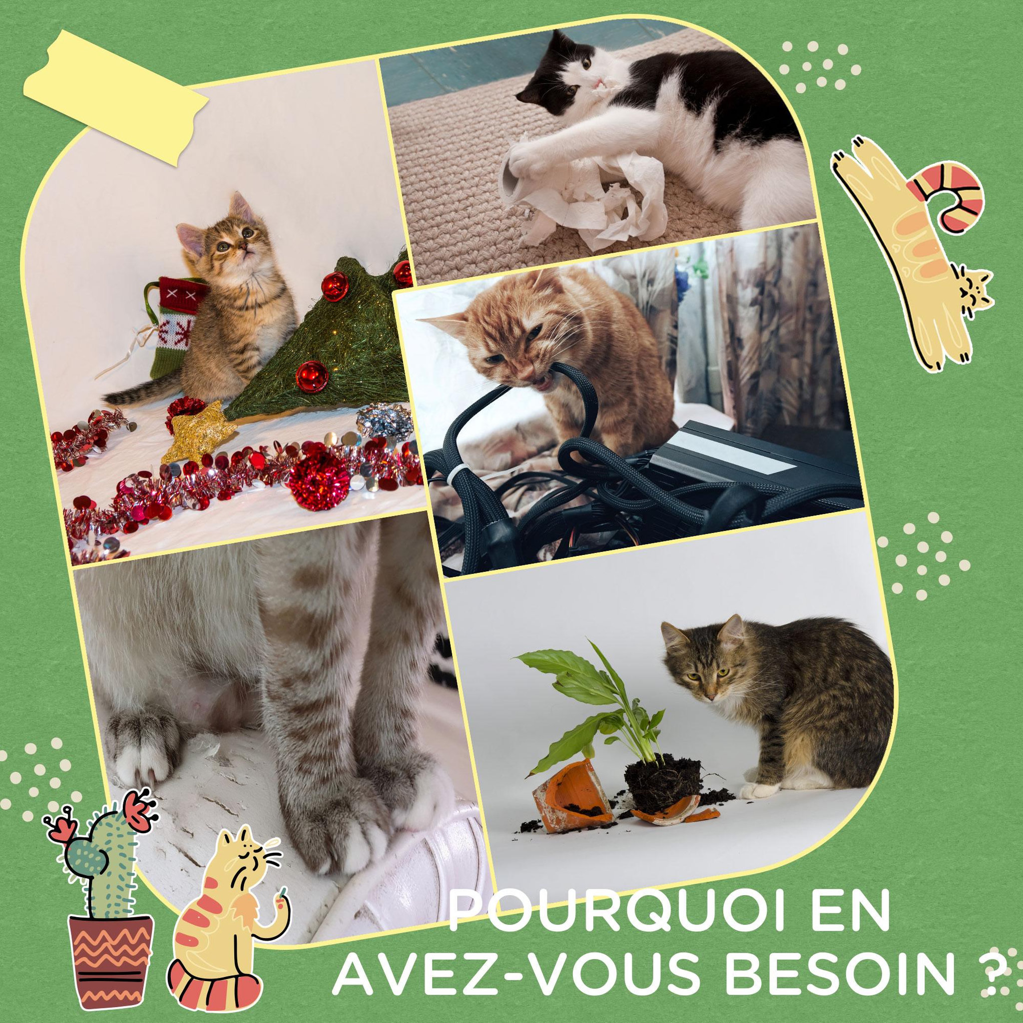 Voir la diapositive 6 : PAWHUT Lot de 2 griffoirs grattoirs murals design cactus dim. 30l x 60h cm jute naturelle écru verte aspect bois clair