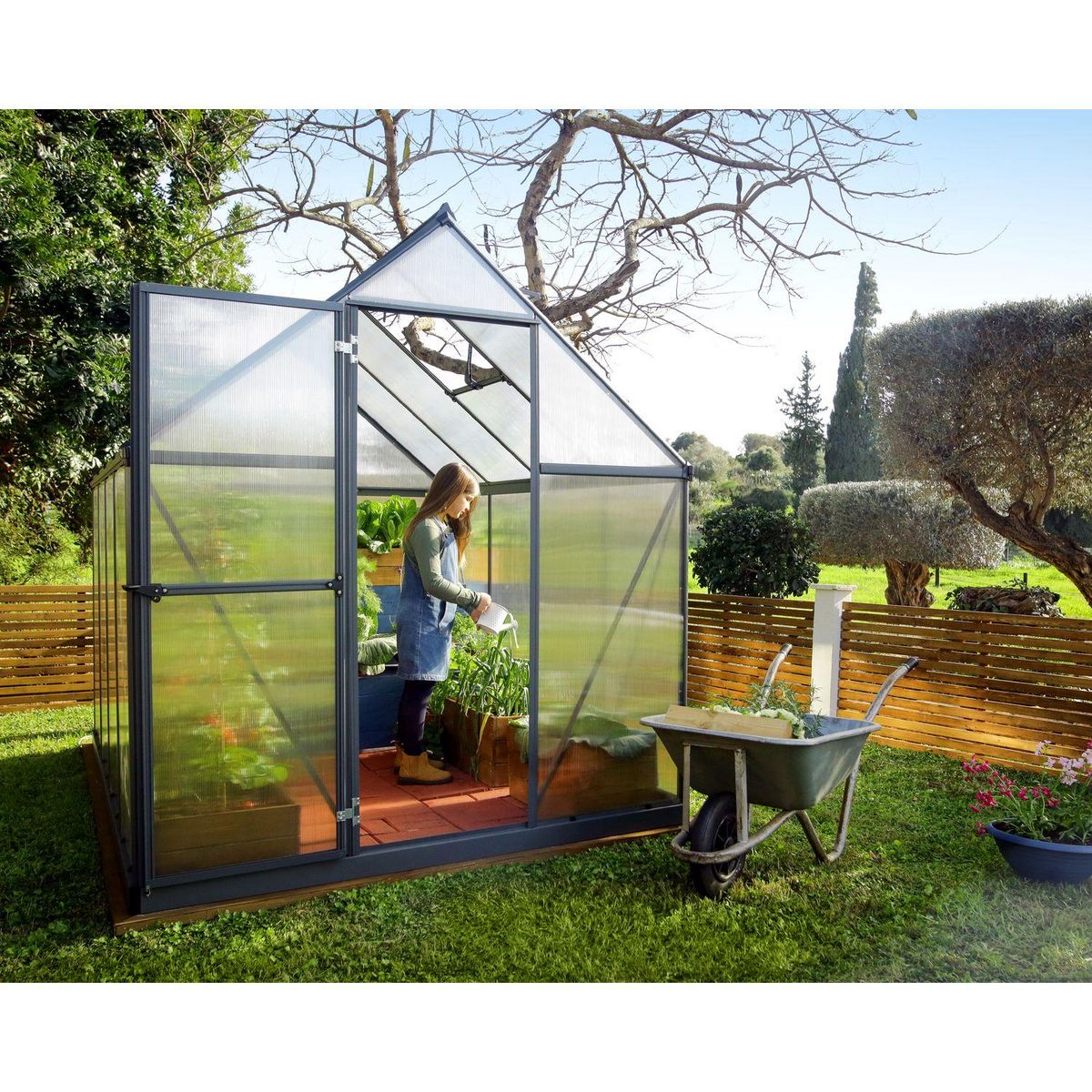 Canopia by PALRAM Serre de jardin polycarbonate Mythos 6x10 m Grey