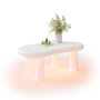 Voir la diapositive 1 : MERAX Table basse