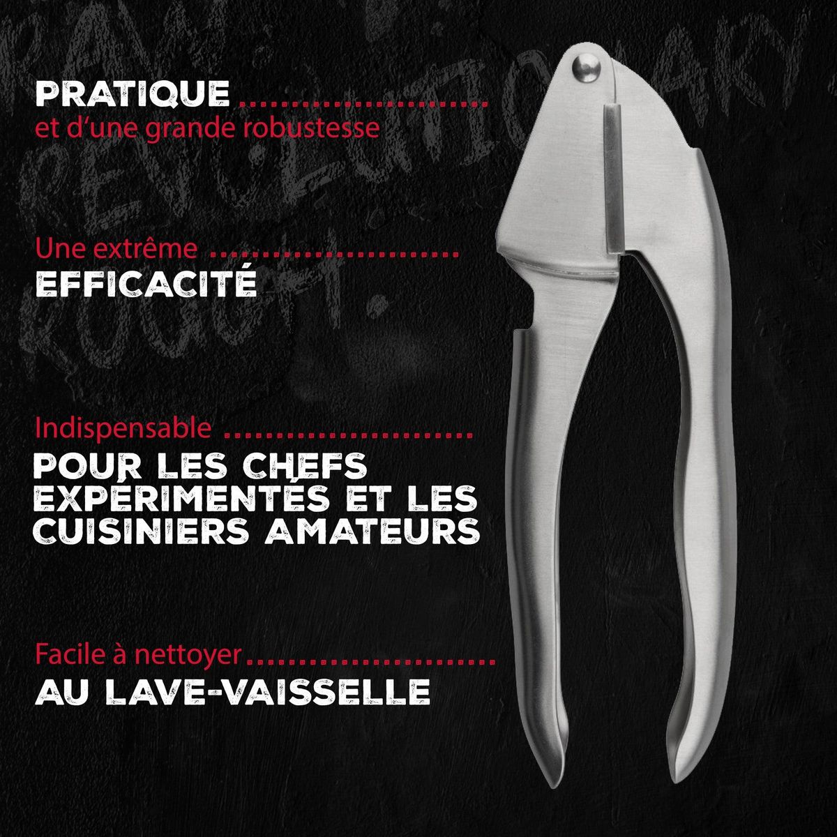 FM PROFESSIONAL Presse ail FM Professional Divers