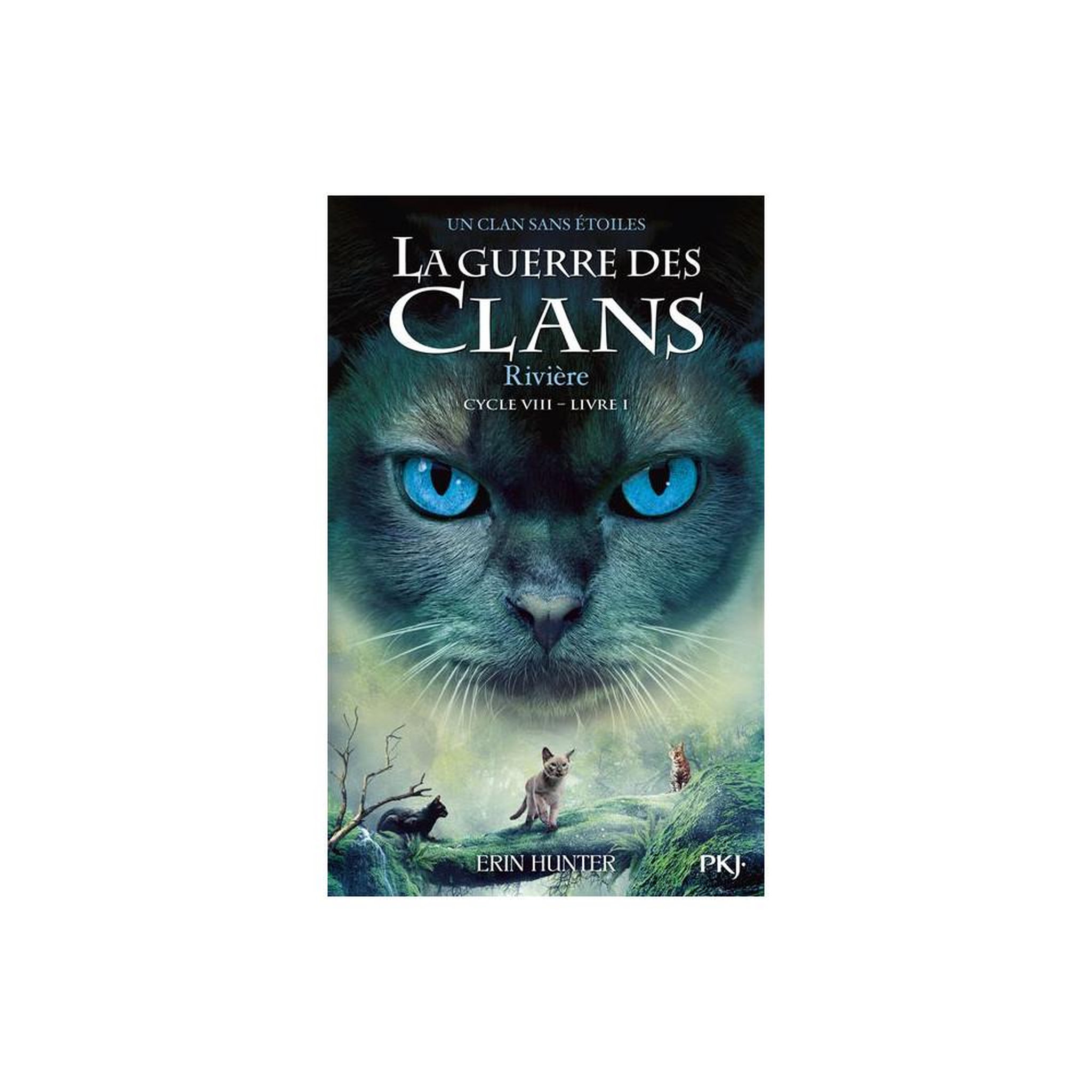 Livre de poche la guerre des clans cycle viii un clan sans étoiles