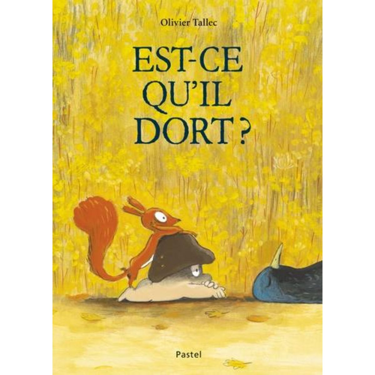 EST-CE QU'IL DORT ?, Tallec Olivier