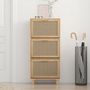 Voir la diapositive 3 : VIDAXL Armoire a chaussures Marron 52x25x115cm Bois d'ingenierie/rotin