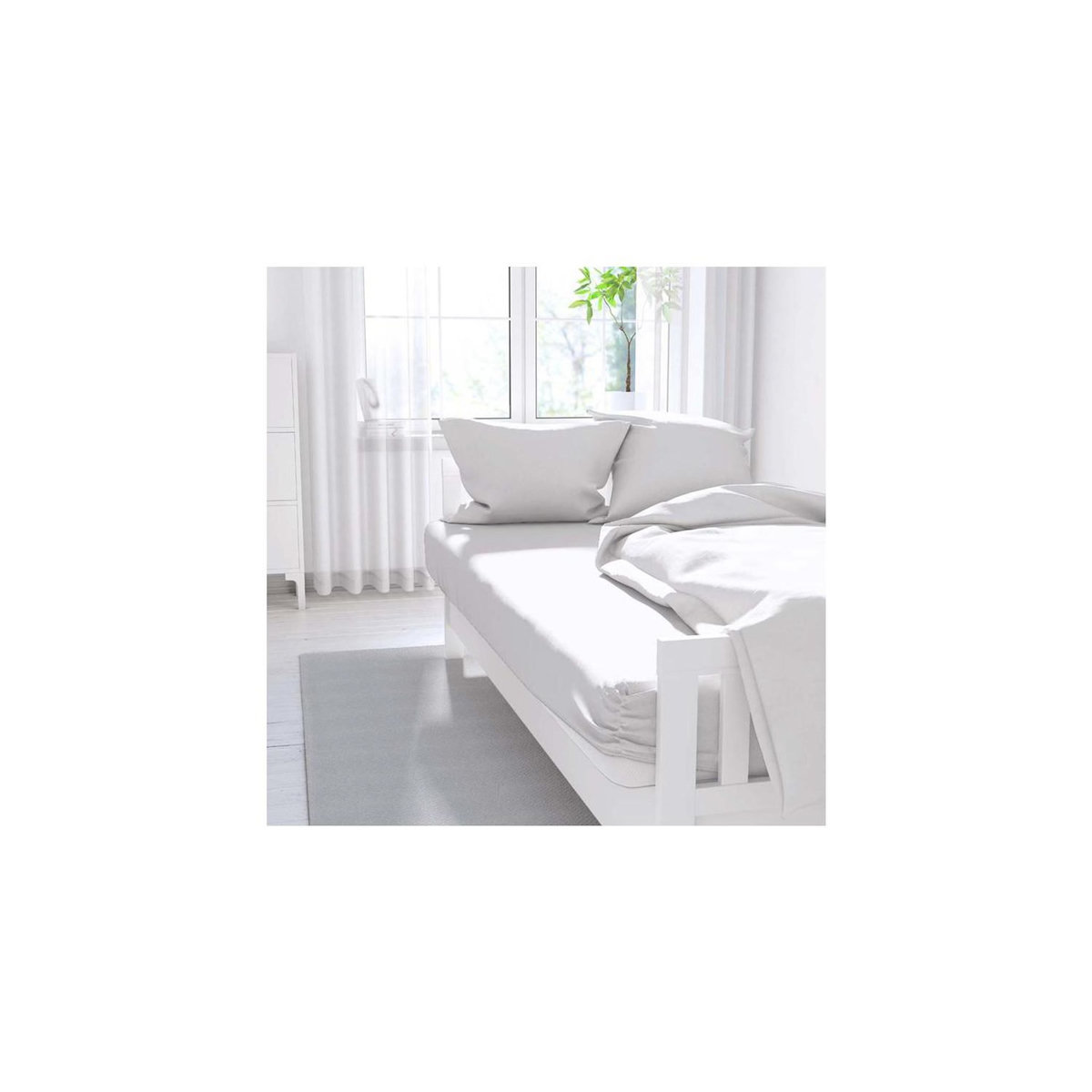 ZZZ Drap housse uni ZZZ en polycoton