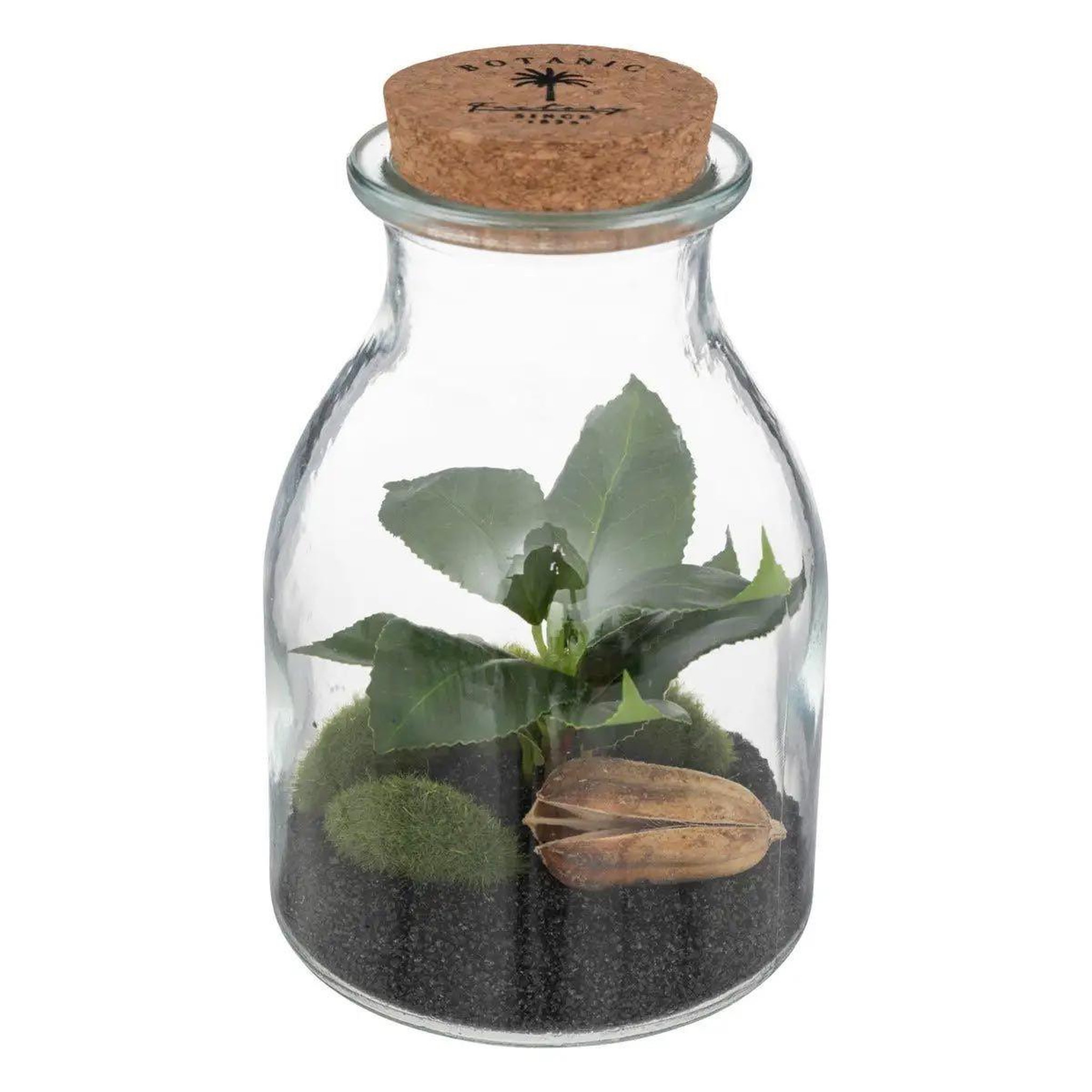 ATMOSPHERA Terrarium en verre  bota  19cm transparent