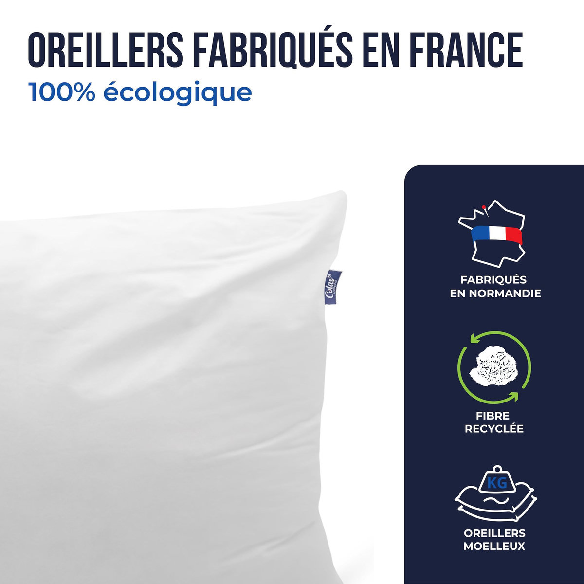 COLAS NORMAND Lot de 2 oreillers 100% écologiques 45×70 cm