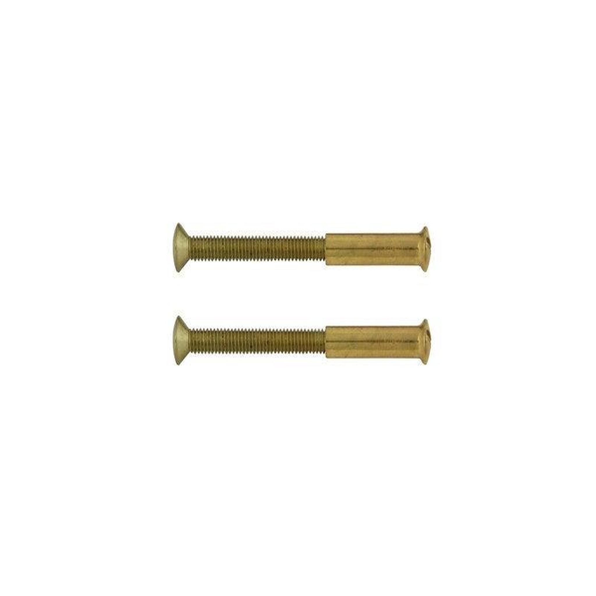 CENTRALE BRICO Lot De 2 Vis Acier Laitonné, L.4.5 X L.0.7