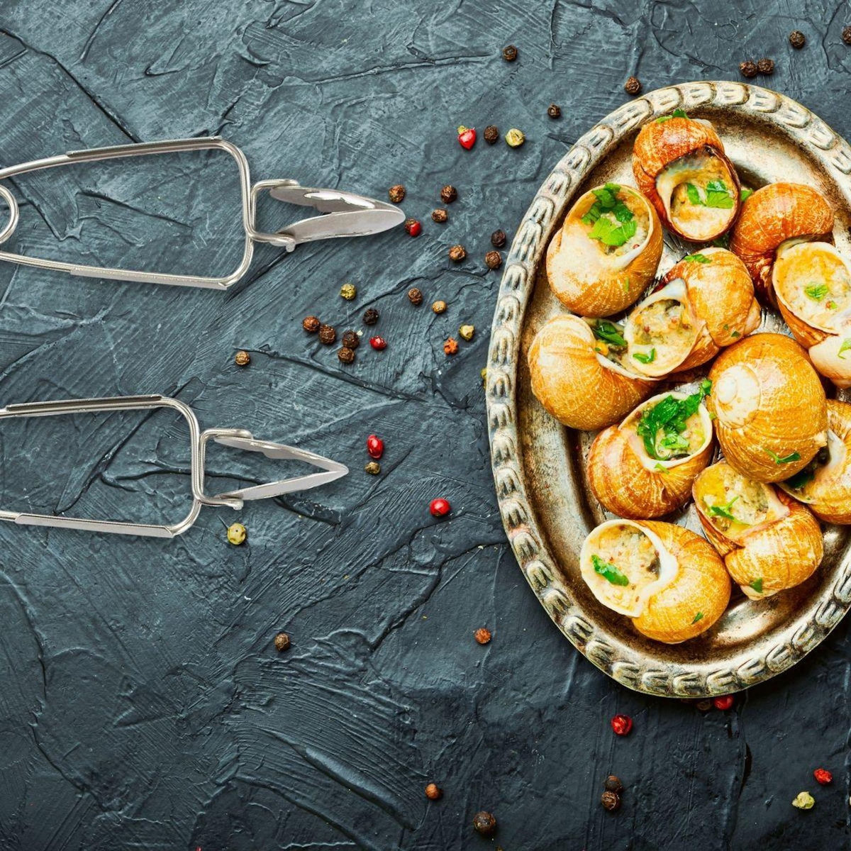 Fackelmann Lot de 6 pinces à escargots Fackelmann