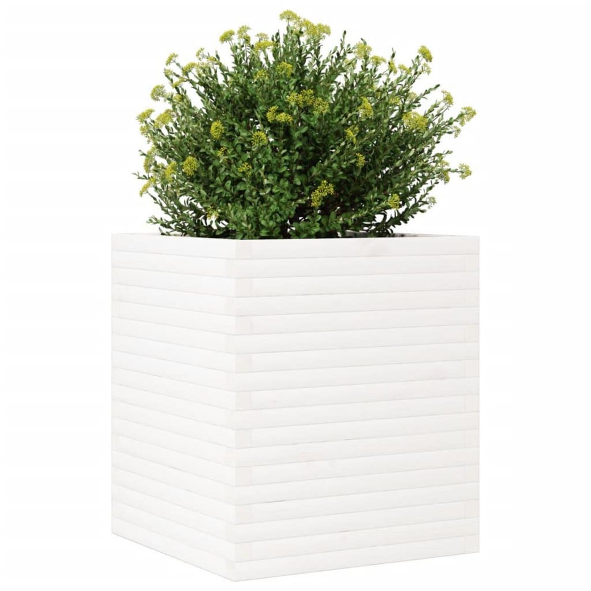 VIDAXL Jardiniere blanc 60x60x68,5 cm bois de pin massif