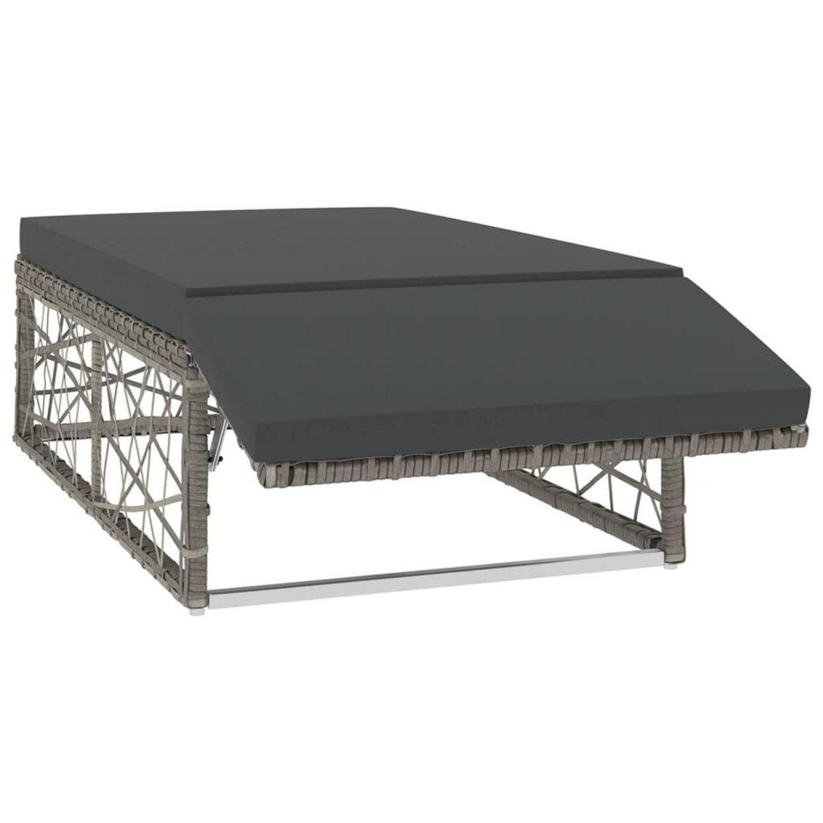 VIDAXL Salon de jardin 2 pcs avec coussins Resine tressee Gris