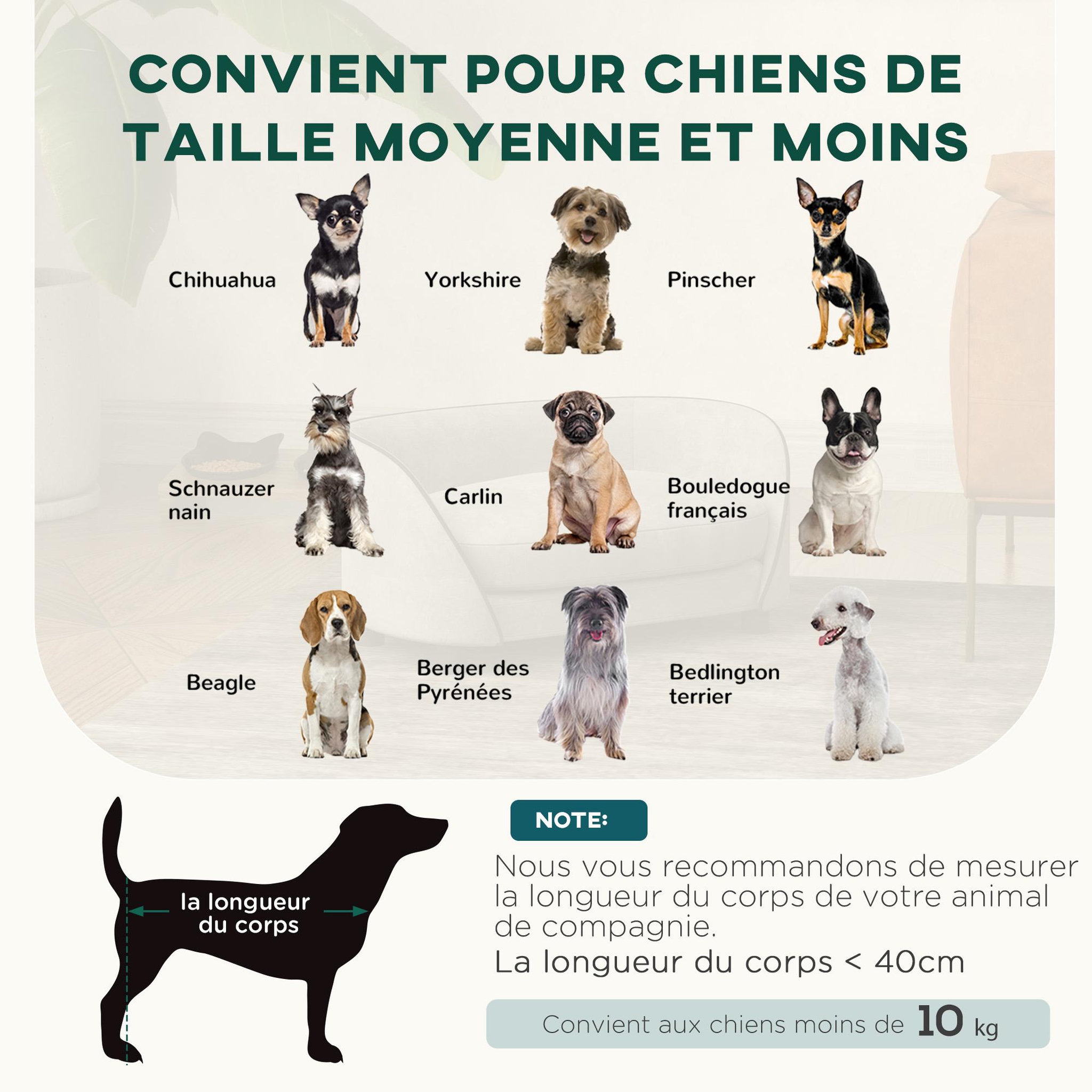 Voir la diapositive 4 : PAWHUT Canapé pour chien design - coussin déhoussable - dim. 67L x 43l x 31H cm - velours gris