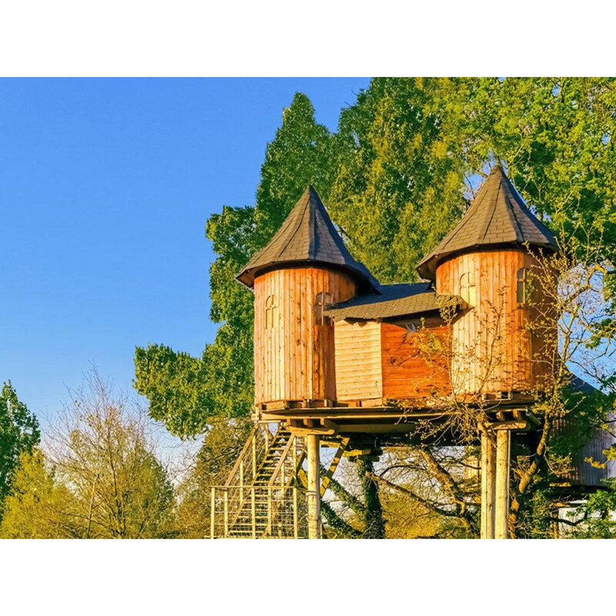 Smartbox Séjour insolite en famille : 3 jours dans les arbres avec chasse au trésor près de Poitiers - Coffret Cadeau Séjour