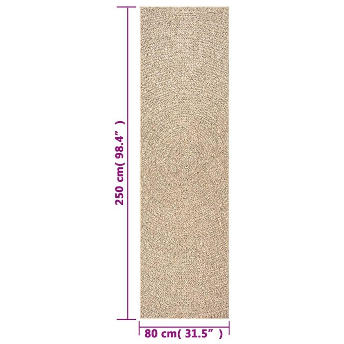VIDAXL Tapis ZIZUR 80x250 cm aspect de jute interieur et exterieur