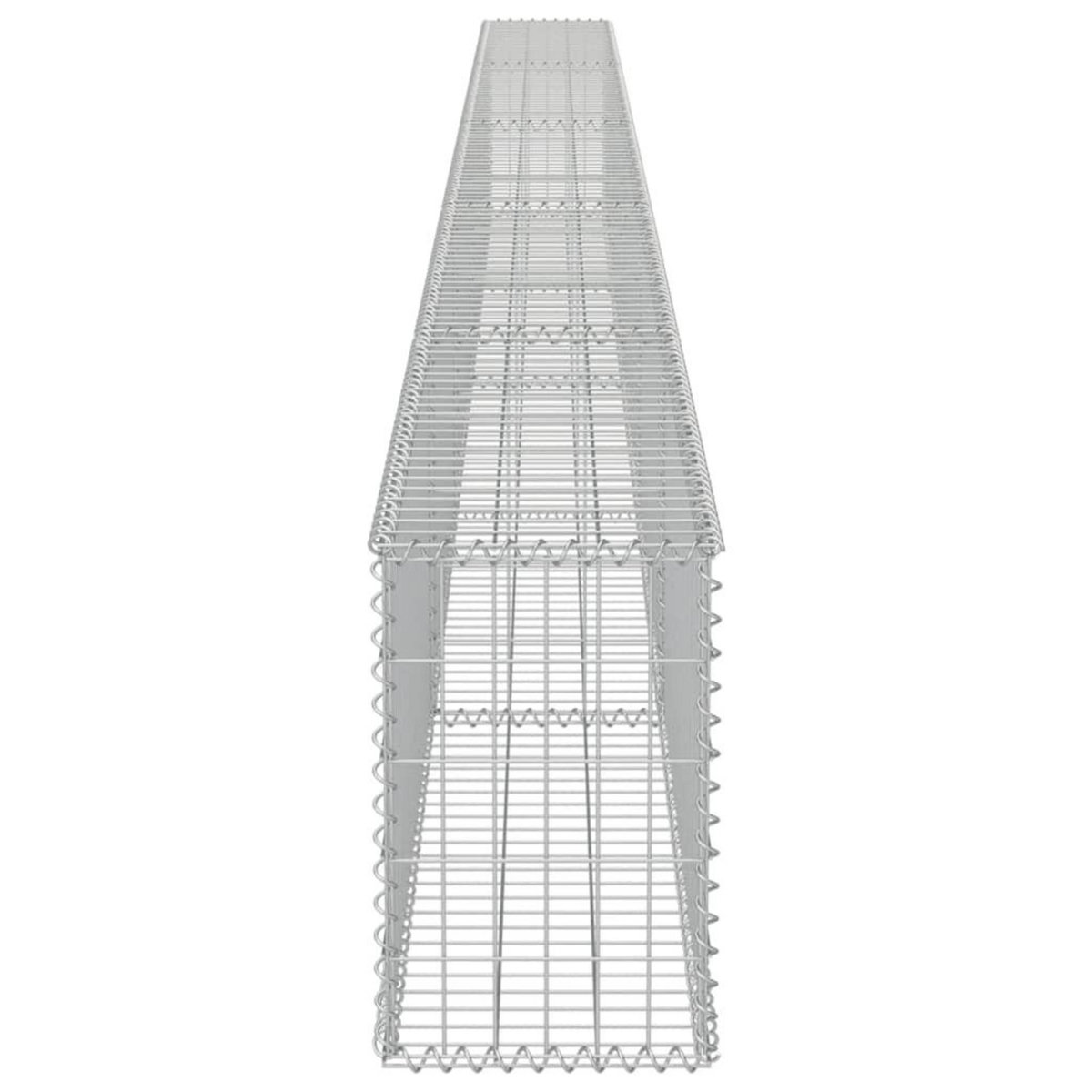 VIDAXL Mur a gabion avec couvercles Acier galvanise 600x30x50 cm