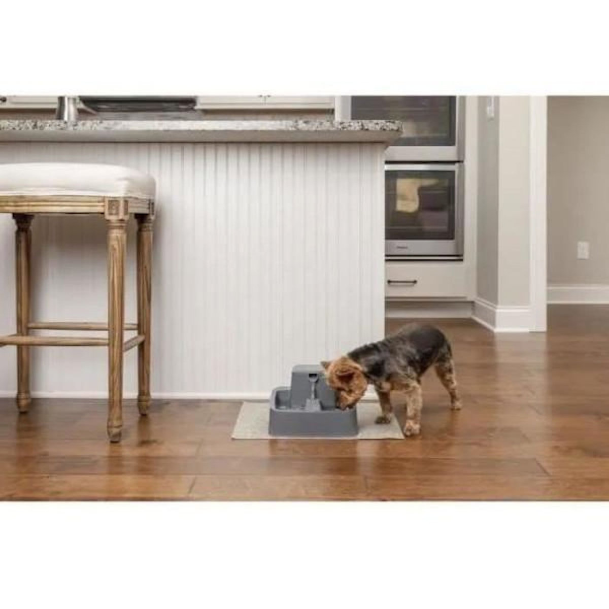 PETSAFE PetSafe - Fontaine a Eau Drinkwell pour Animaux - Idéale pour Chat/Petits Chien 1,8 L – Différents flux d'eau - Facile a Net