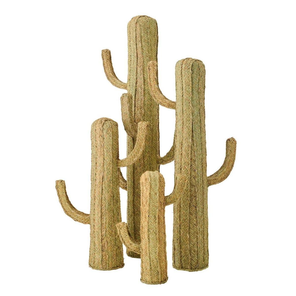 Paris Prix Cactus Déco Herbe  Afrique  105cm Naturel