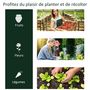Voir la diapositive 6 : OUTSUNNY Serre de jardin tunnel serre à tomates dim. 2L x 1l x 0,8H m 2 portes zippées bâche PVC transparent acier époxy vert