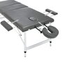 Voir la diapositive 3 : VIDAXL Table de massage 3 zones Cadre en aluminium Anthracite 186x68cm