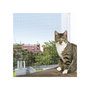 Voir la diapositive 1 : Trixie TRIXIE Filet de protection chat 6x3 m transparent