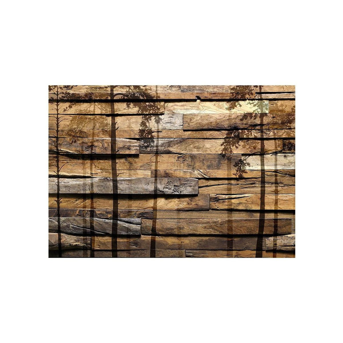 Paris Prix Papier Peint  Shadow of Trees