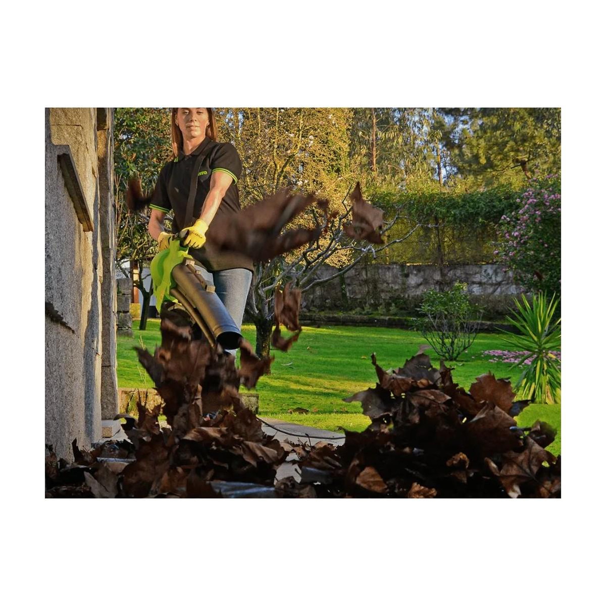 Voir la diapositive 2 : VITO Aspirateur et souffleur de feuilles 3000w sac 35l bandoulière et roulettes confort vito