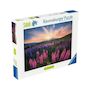 Voir la diapositive 2 : RAVENSBURGER Puzzle Ravensburger Lupins dans un paysage naturel
