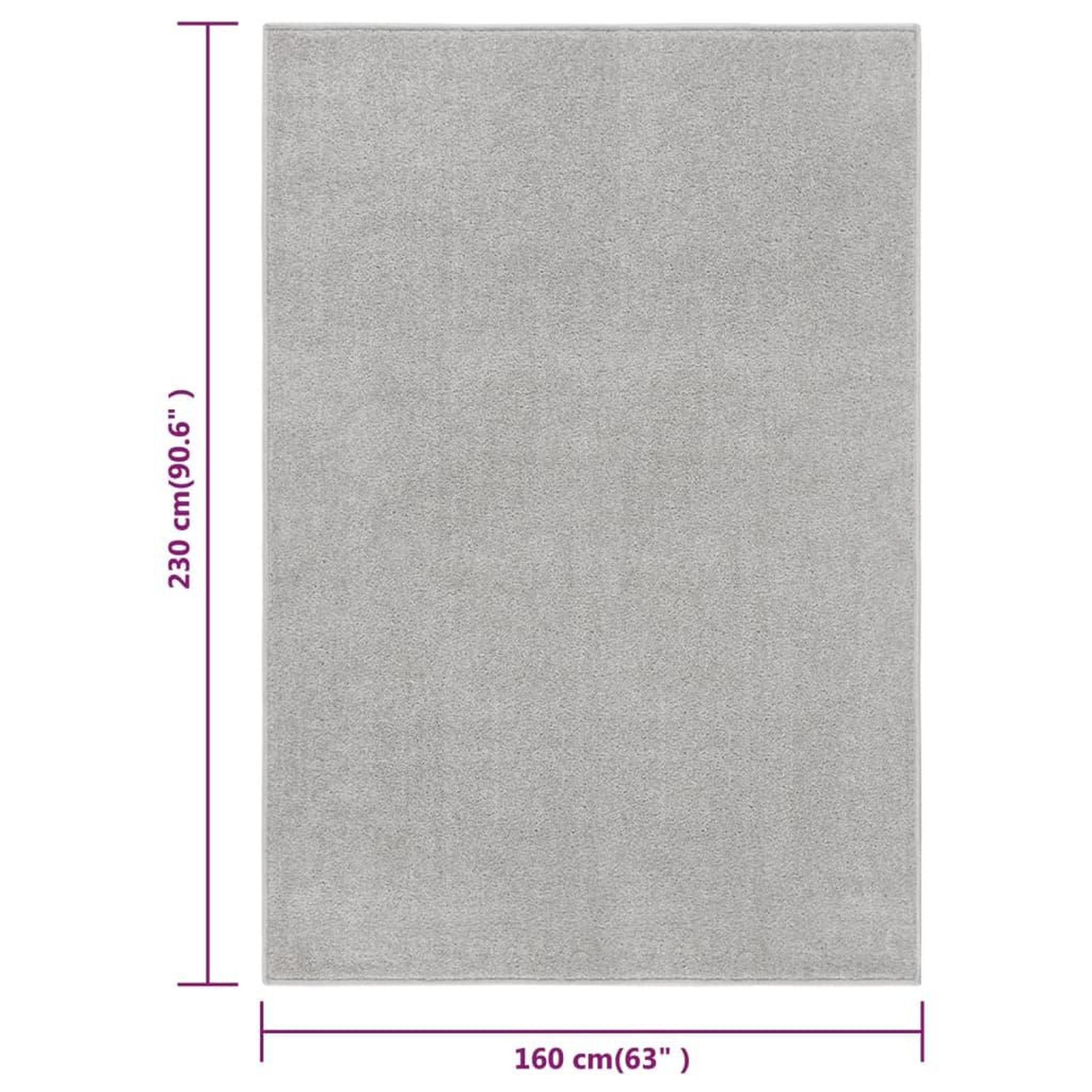 Voir la diapositive 6 : VIDAXL Tapis a poils courts 160x230 cm Gris clair