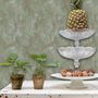 Voir la diapositive 2 : DUTCH WALLCOVERINGS DUTCH WALLCOVERINGS Papier peint Vert beton TP1010